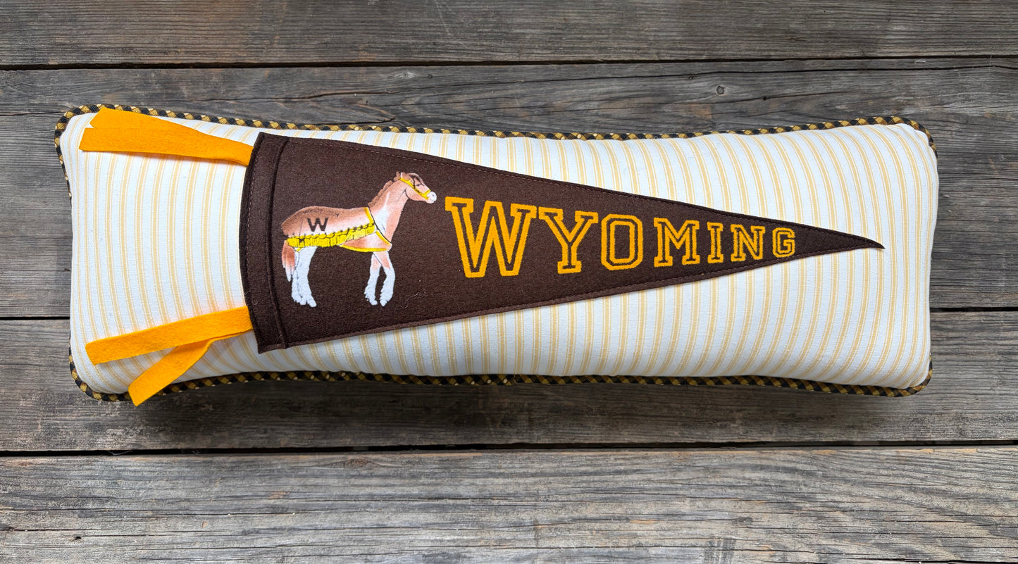 University of Wyoming Pennant Pillow