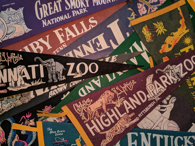 Pick-a-Pennant Pillow