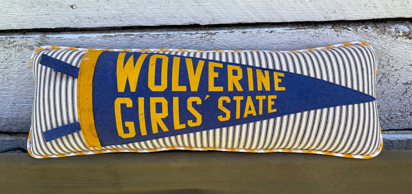 Wolverine U of M Vintage Pennant Pillow