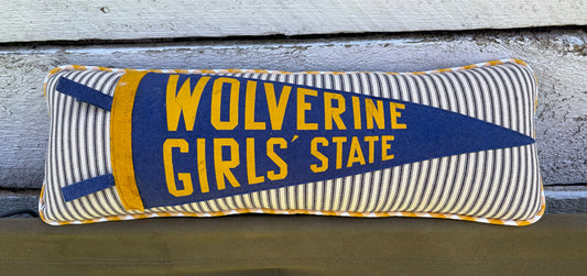 Wolverine U of M Vintage Pennant Pillow
