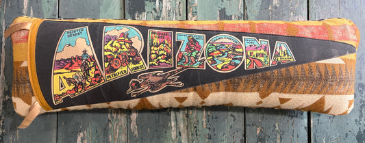 Arizona Vintage Pennant Pillow