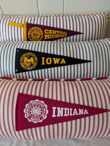 College vintage pennant pillow