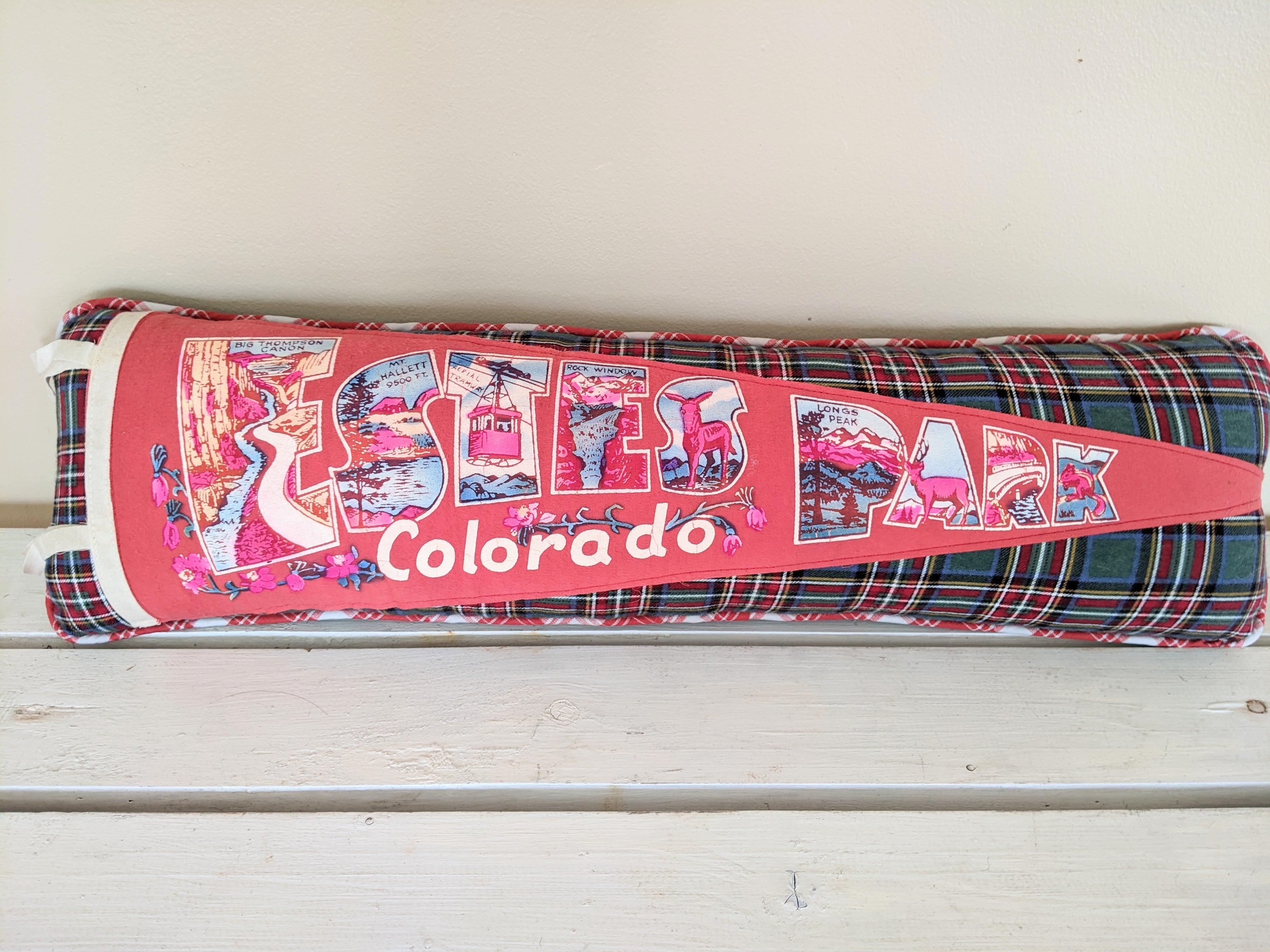 Estes Park Colorado vintage pennant pillow