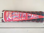 Estes Park Colorado vintage pennant pillow