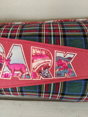 Estes Park Colorado vintage pennant pillow
